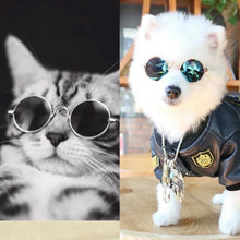 Load image into Gallery viewer, Fashion Pet Glasses