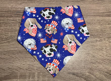 Load image into Gallery viewer, Pooch &amp; FireWorks Human Mask and Dog Bandana Set